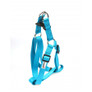 Doodlebone Adjustable Dog Harness - Aqua