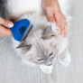 Great & Small FurFixer Long Hair DeShedding Grooming Tool