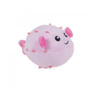 Petface Planet Pippa Puffa Fish Dog Toy