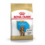 Royal Canin Cocker Spaniel Dry Puppy Food - 3kg
