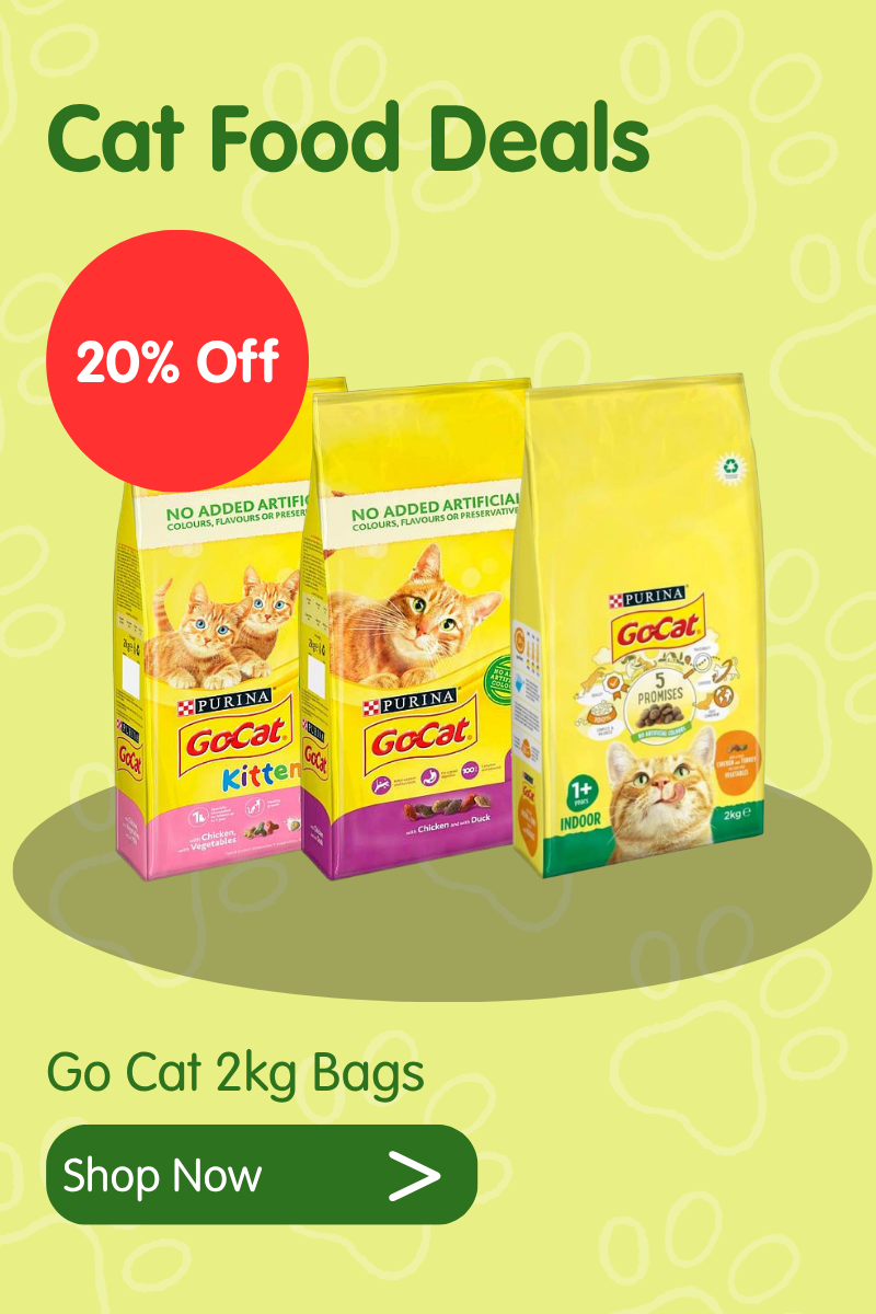 Cat deals