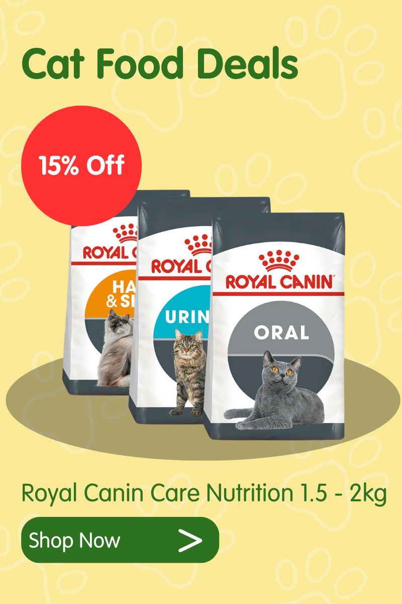 Cat deals