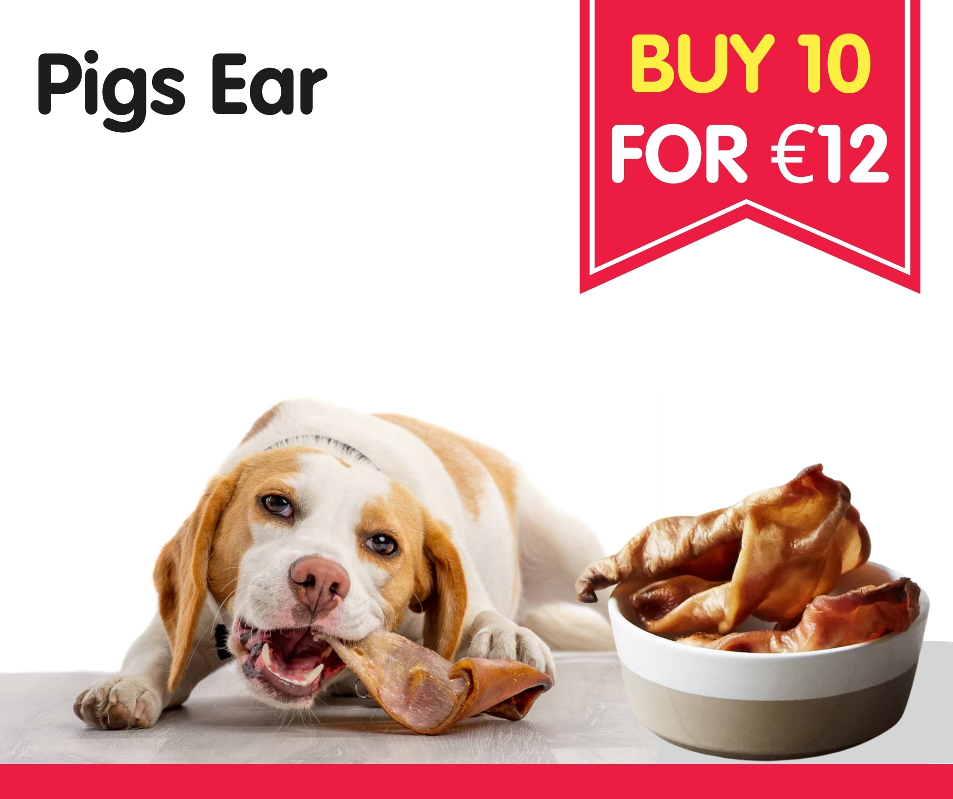 Pigs ear dog trea