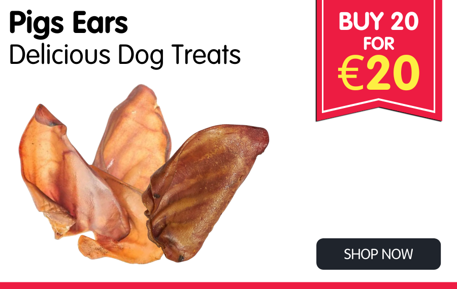Pig Ears