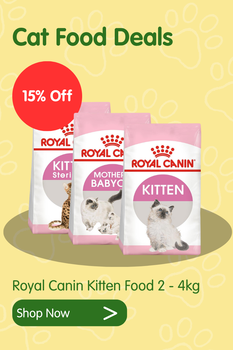 Cat deals