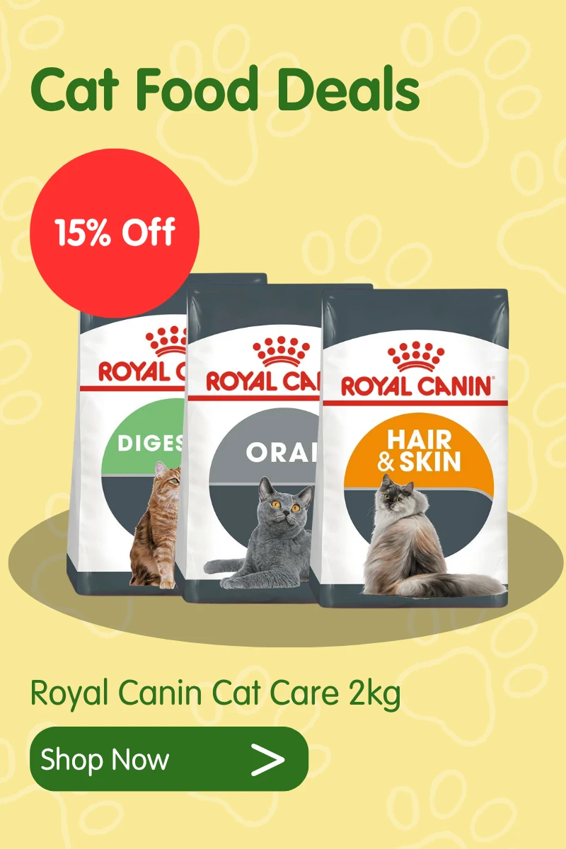 Cat deals