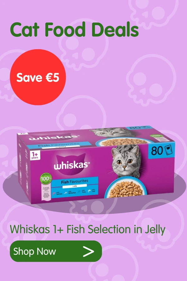 Cat deals