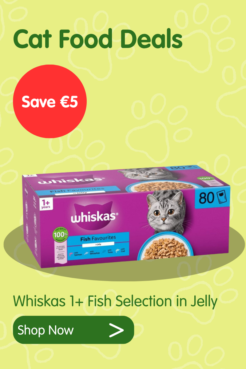 Cat deals