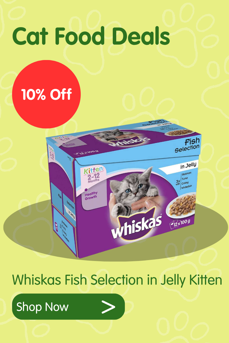 Cat deals