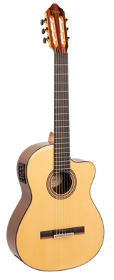 Valencia series - 560 series - 4/4 size electric / acoustic