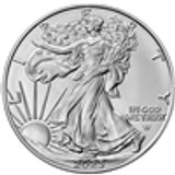 2023 Silver Eagles