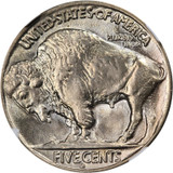 Buffalo Nickels