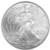 2009 American Silver Eagle