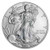 2011 American Silver Eagle