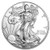 2013 American Silver Eagle