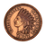 1877 Indian Head Penny