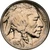1913-S Type 2 Buffalo Head Nickel Coins