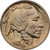 1913 Type 1 Buffalo Head Nickel Coins