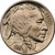1914-P Buffalo Head Nickel Coins