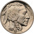 1914-D Buffalo Head Nickel Coins