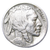 1918-D Buffalo Head Nickel Coins