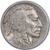 1920-D Buffalo Head Nickel Coins