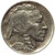 1924-D Buffalo Head Nickel Coins