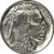 1936-S Buffalo Head Nickel Coins