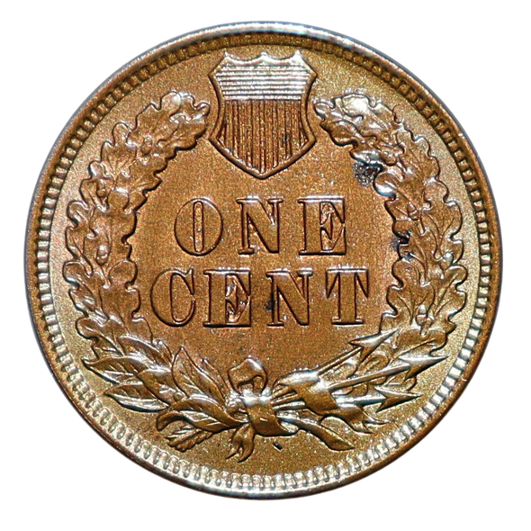 1899 Indian Head Penny