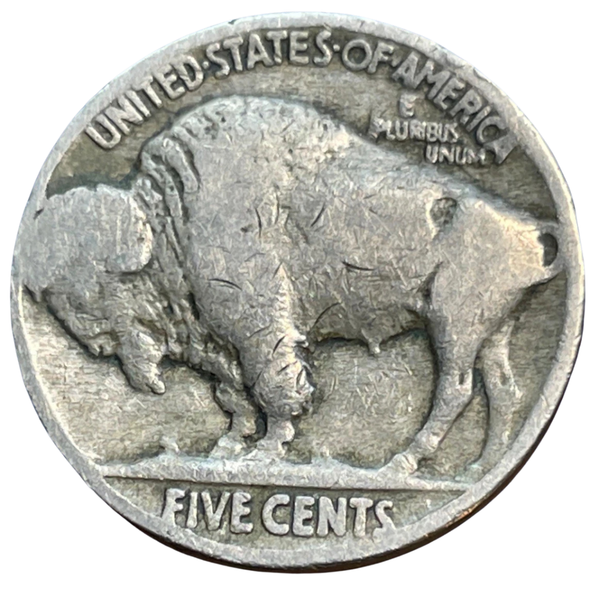 1918-P Buffalo Head Nickel Coins