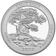 Great Basin National Park Quarter