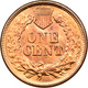 1865 Indian Head Penny