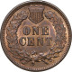 1895 Indian Head Penny
