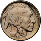 1913-D Type 1 Buffalo Head Nickel Coins