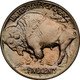 1913-D Type 1 Buffalo Head Nickel Coins