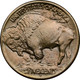 1913-S Type 1 Buffalo Head Nickel Coins
