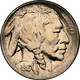 1913-S Type 2 Buffalo Head Nickel Coins