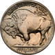 1913-S Type 2 Buffalo Head Nickel Coins