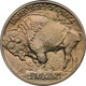 1913 Type 1 Buffalo Head Nickel Coins