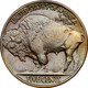 1913 Type 2 Buffalo Head Nickel Coins