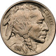 1914-P Buffalo Head Nickel Coins