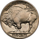 1914-P Buffalo Head Nickel Coins