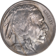 1919-P Buffalo Head Nickel Coins