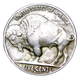 1919-S Buffalo Head Nickel Coins