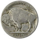 1920-P Buffalo Head Nickel Coins