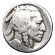 1921-P Buffalo Head Nickel Coins