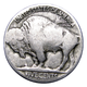 1921-S Buffalo Head Nickel Coins