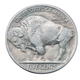 1923-P Buffalo Head Nickel Coins