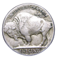 1923-S Buffalo Head Nickel Coins