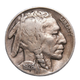 1926-P Buffalo Head Nickel Coins